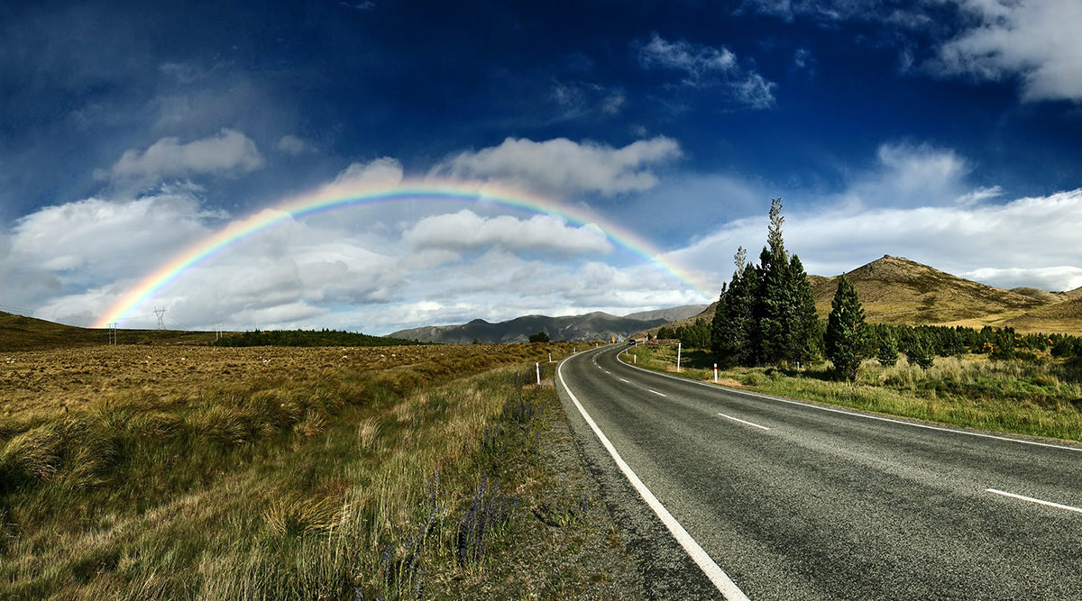 Ten Summer Road Trips Great for Families