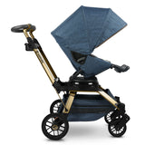 Stroll, Lounge, & Ride Travel System